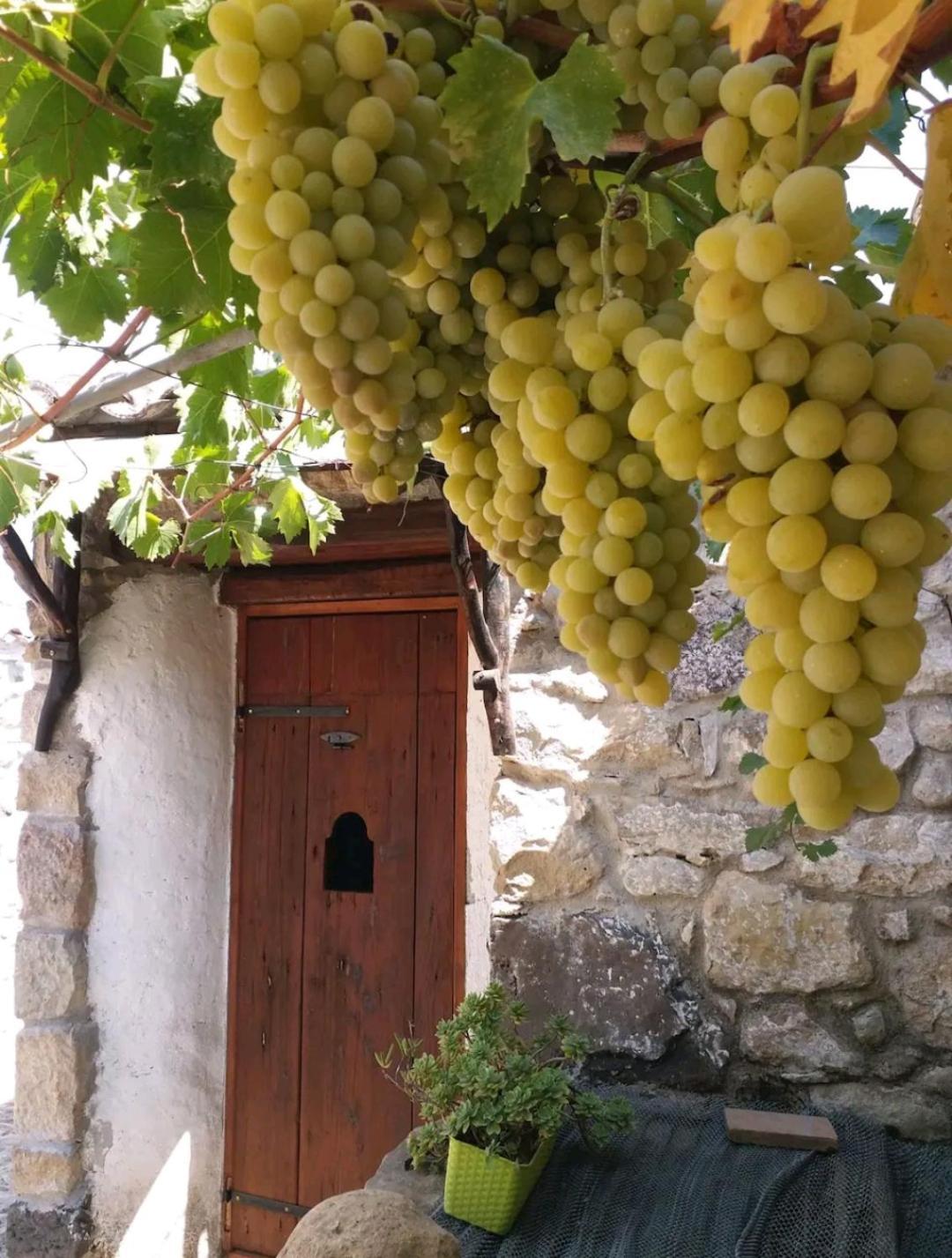 Sa Domu De Ziu Antoneddu Ξενοδοχείο Tuili Εξωτερικό φωτογραφία