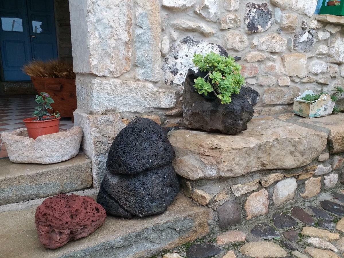 Sa Domu De Ziu Antoneddu Ξενοδοχείο Tuili Εξωτερικό φωτογραφία